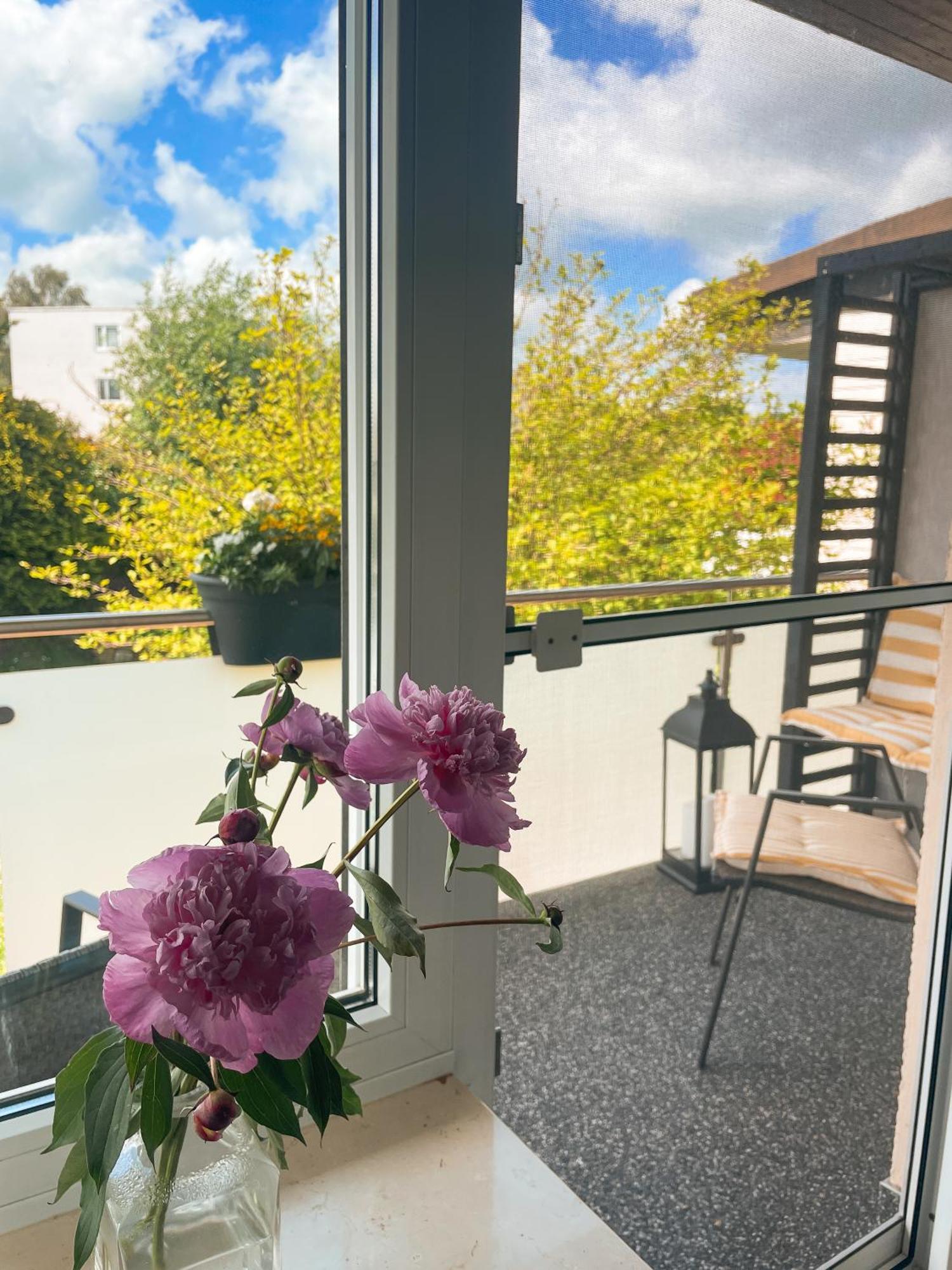 Appartment Paula Wolfhagen المظهر الخارجي الصورة